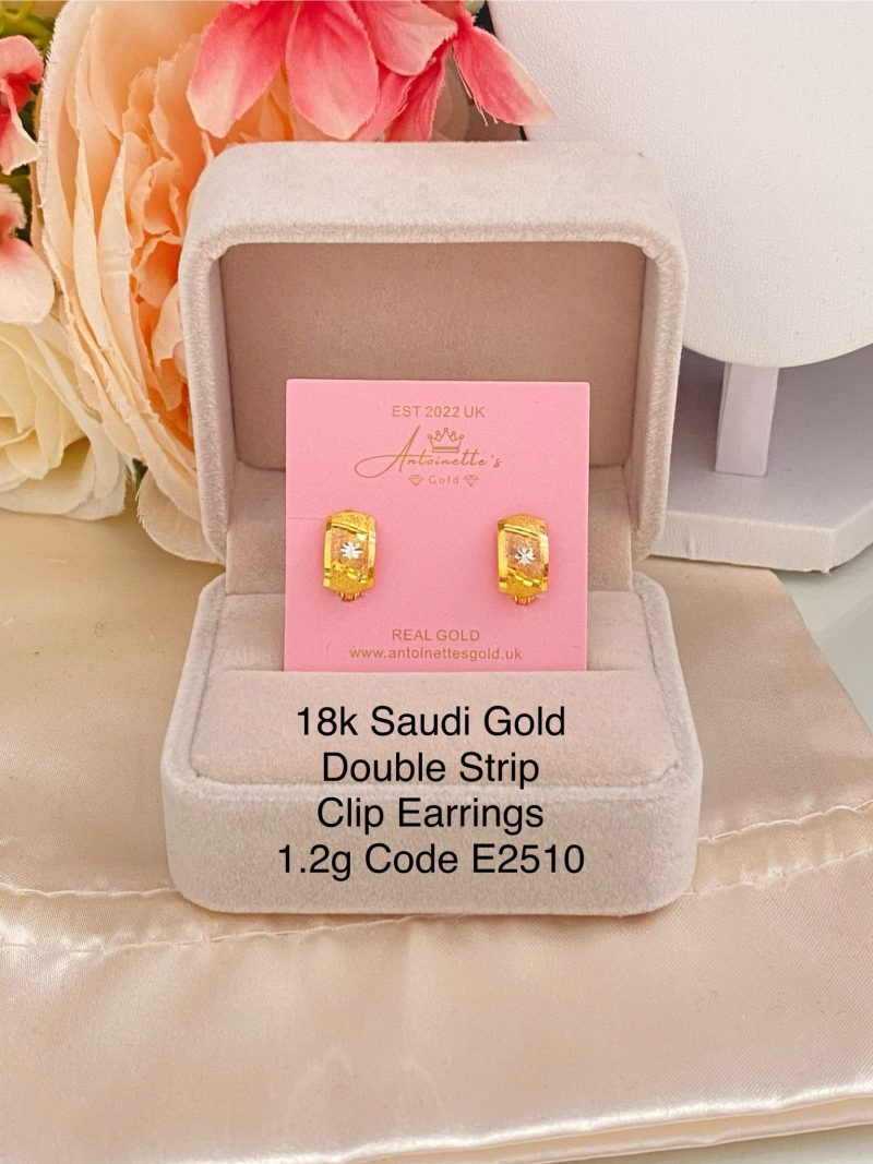 E2510 Double Strip Clip Earrings