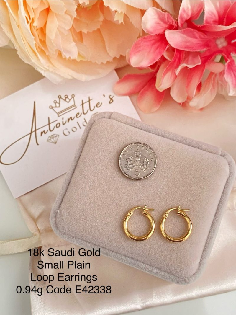 E42338 Small Plain Loop Earrings