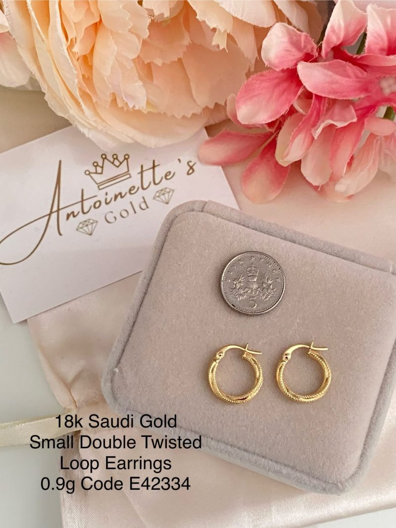 E42334 Small Double Twisted Loop Earrings
