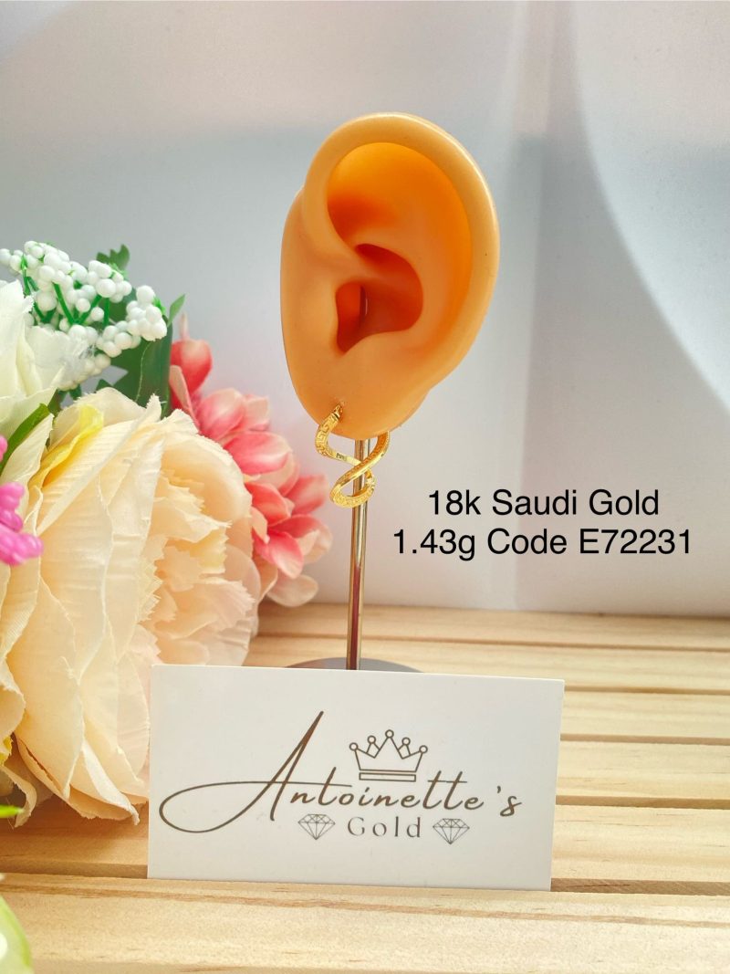 E72231 Infinity Loop earrings