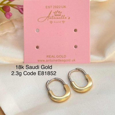 E81852 Ins. Tiffany & Co. loop inspired earrings