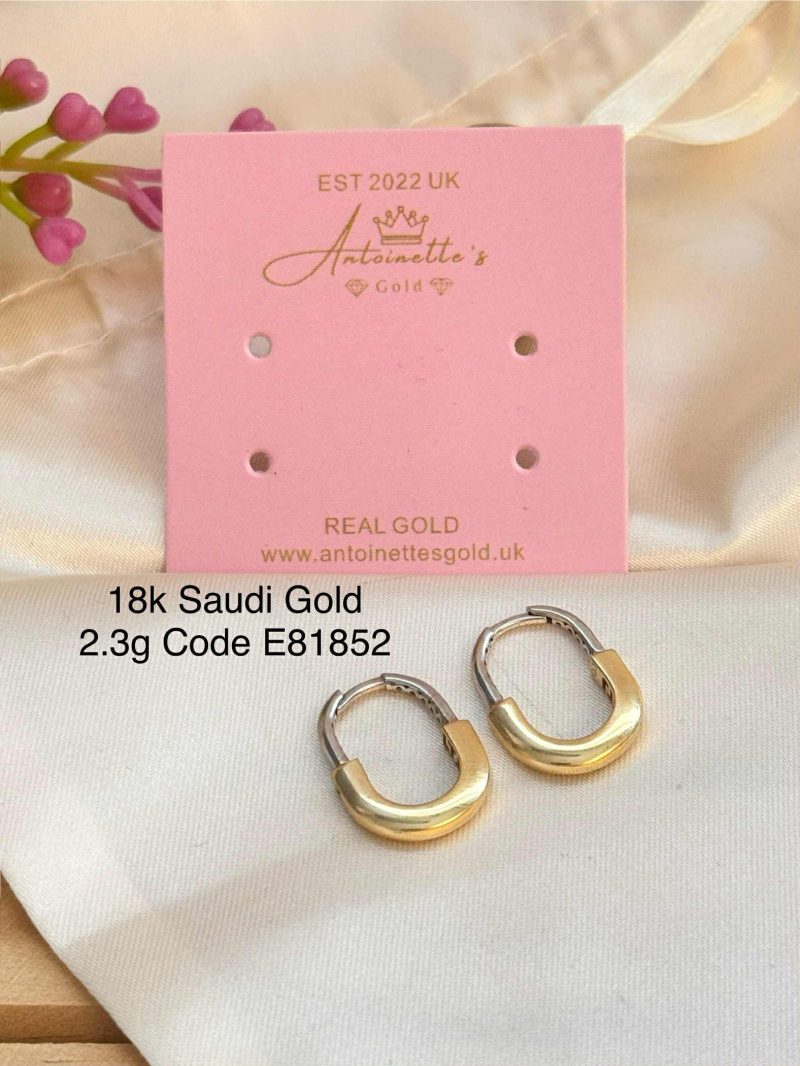 E81852 Ins. Tiffany & Co. loop inspired earrings