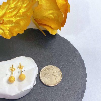 Payment link-Ladydan