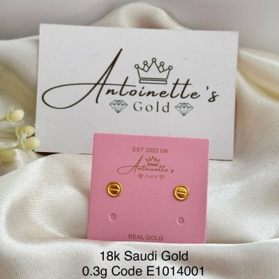 E1014001 Screw Design Lightweight Stud Earrings