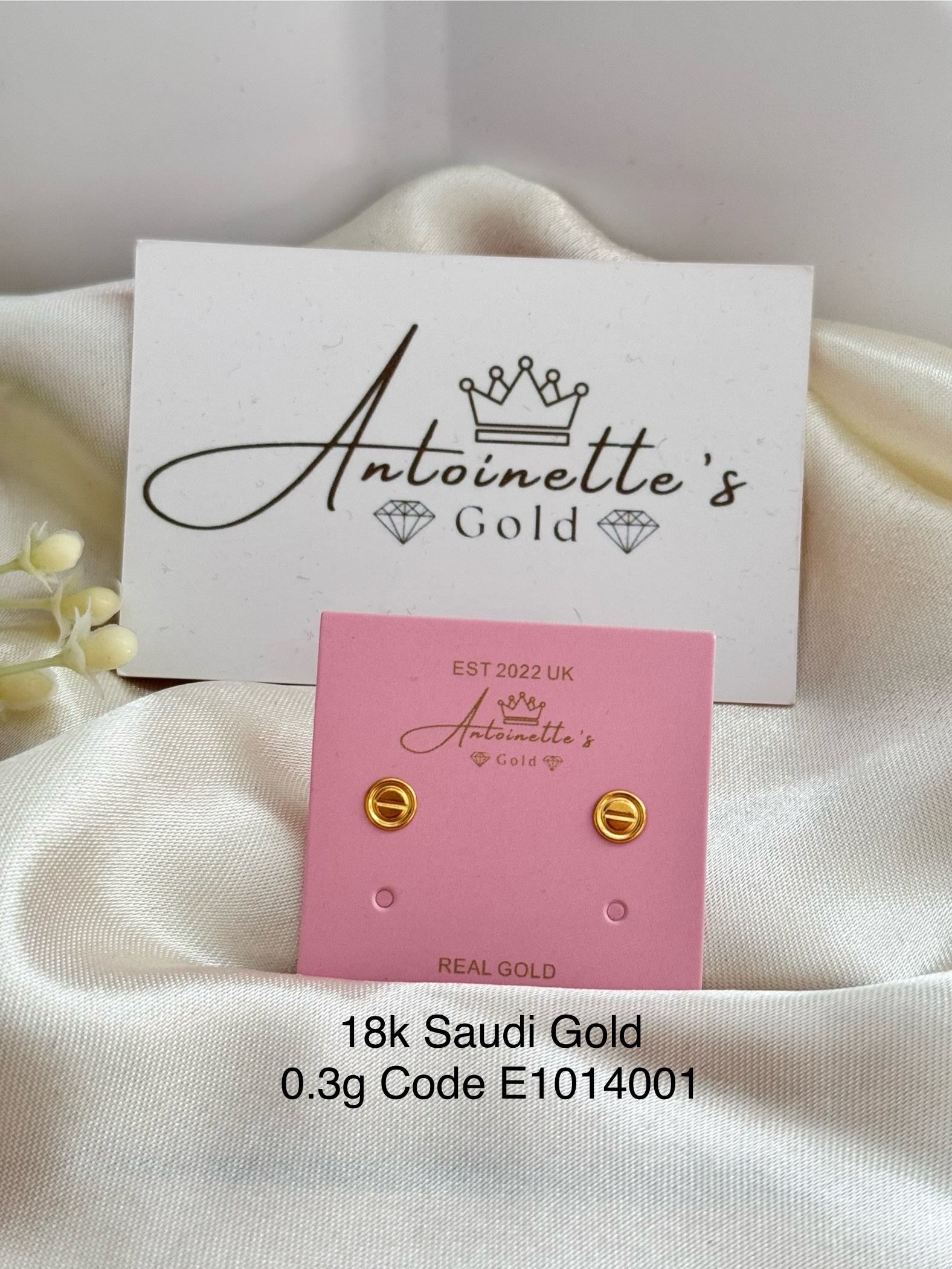 E1014001 Screw Design Lightweight Stud Earrings